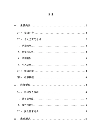 25年CH网络与新媒体本科 创作报告《布依绣韵：针尖上的民族记忆》（导演部分） -约8421字符.doc