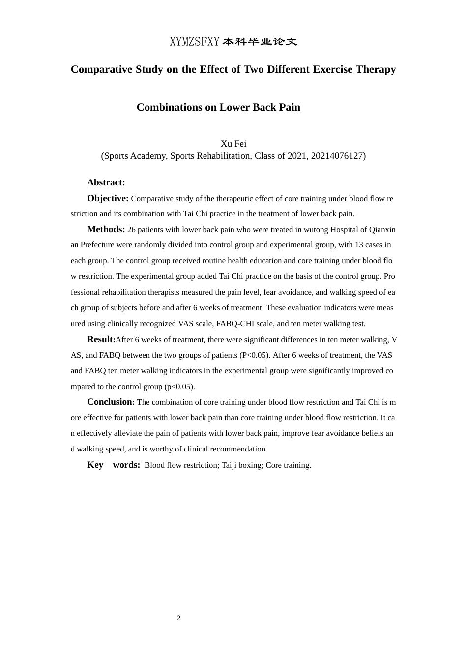 25年CH运动康复 两种不同运动疗法组合对下背痛的疗效对比终稿论文2-约11257字符.docx_第4页