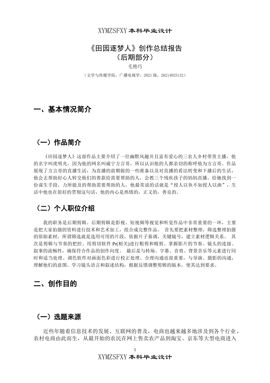 25年CH广播电视学本科 毕业设计《田园逐梦人》创作总结报告（后期部分） -约5201字符.doc_第3页