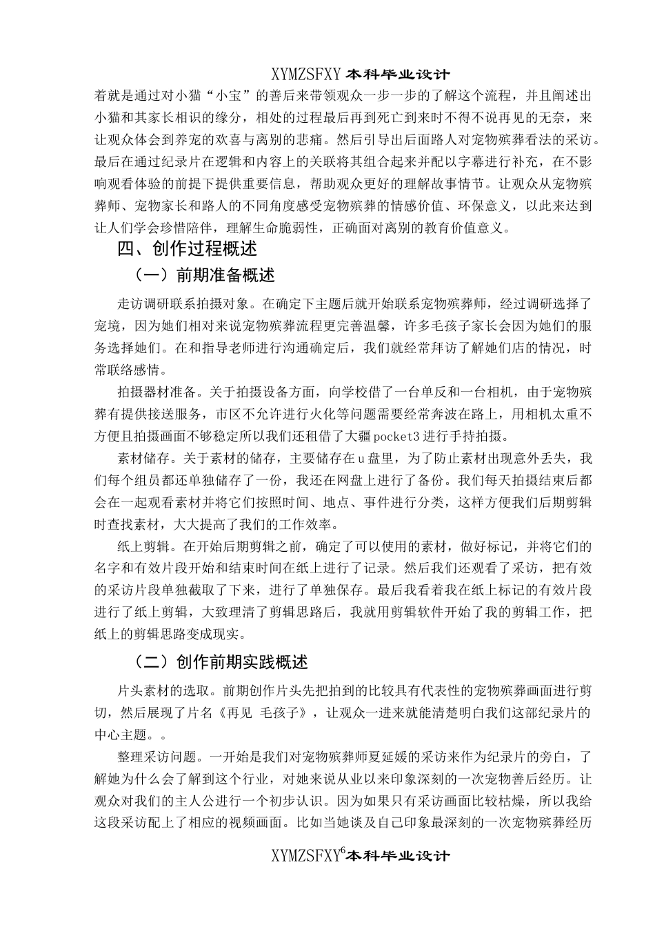 25年CH广播电视学本科 《再见 毛孩子》创作总结报告（后期部分）BS-约6744字符.docx_第4页