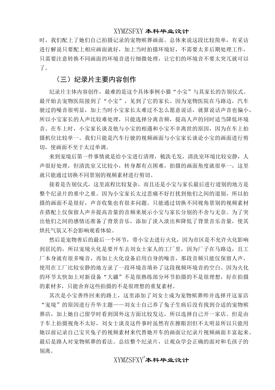 25年CH广播电视学本科 《再见 毛孩子》创作总结报告（后期部分）BS-约6744字符.docx_第5页