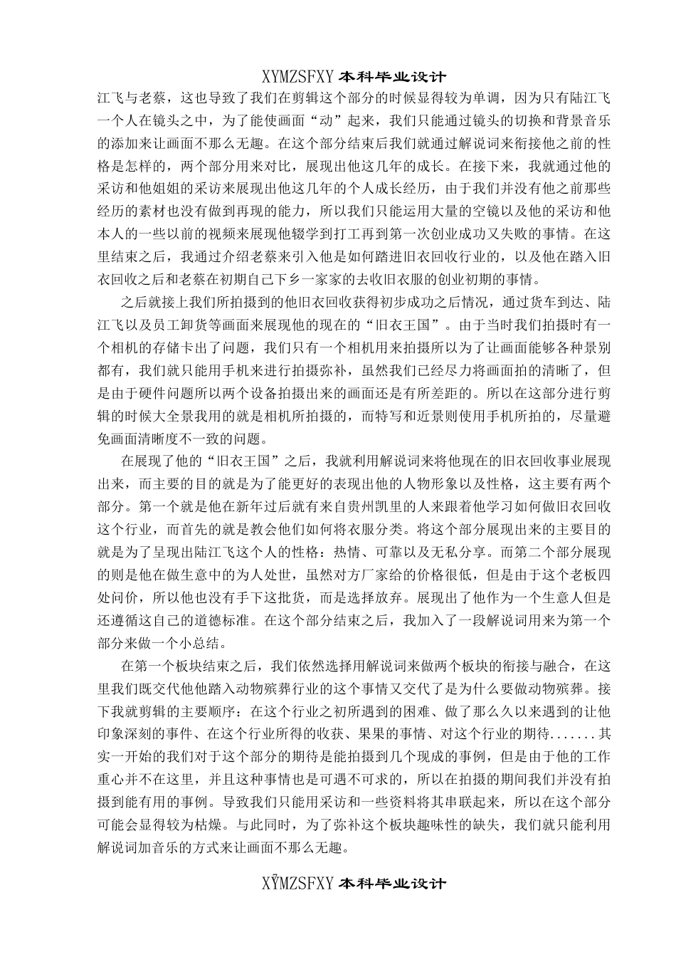 25年CH广播电视学本科 《阿飞正传》创作总结报告（后期部分）S-约7384字符.docx_第5页