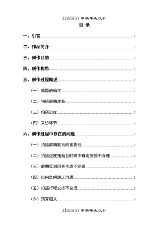25年CH广播电视学本科 《再见 毛孩子》创作总结报告（导演部分）BS-约7043字符.docx