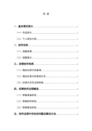 25年CH广播电视学本科 《三都水歌迷》创作总结报告（后期部分）BS-约5526字符.docx