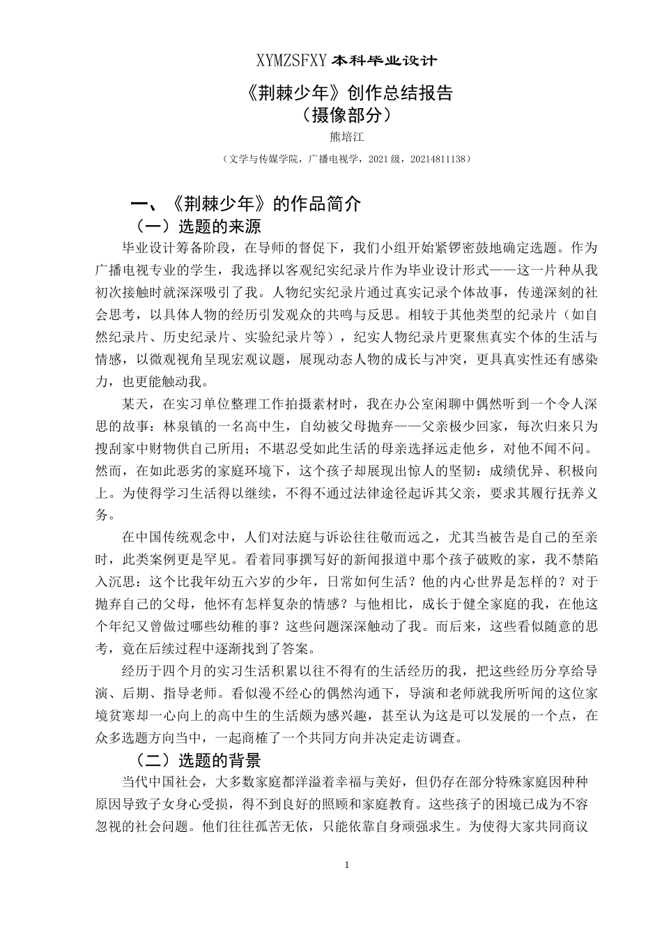 25年CH广播电视学本科 毕业设计《荆棘少年》创作总结报告（摄像部分） -约5615字符.doc_第2页