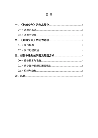 25年CH广播电视学本科 毕业设计《荆棘少年》创作总结报告（摄像部分） -约5615字符.doc