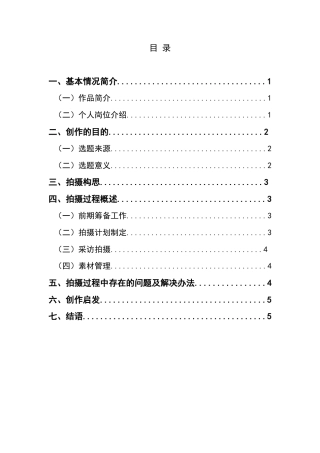 25年CH广播电视学本科 《三都水歌迷》创作总结报告（摄像部分）1-约4434字符.docx