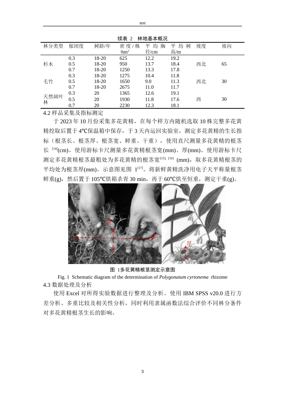25年CH林学-不同林分类型及郁闭度对多花黄精根茎生长的影响-约9999字符终稿.docx_第8页