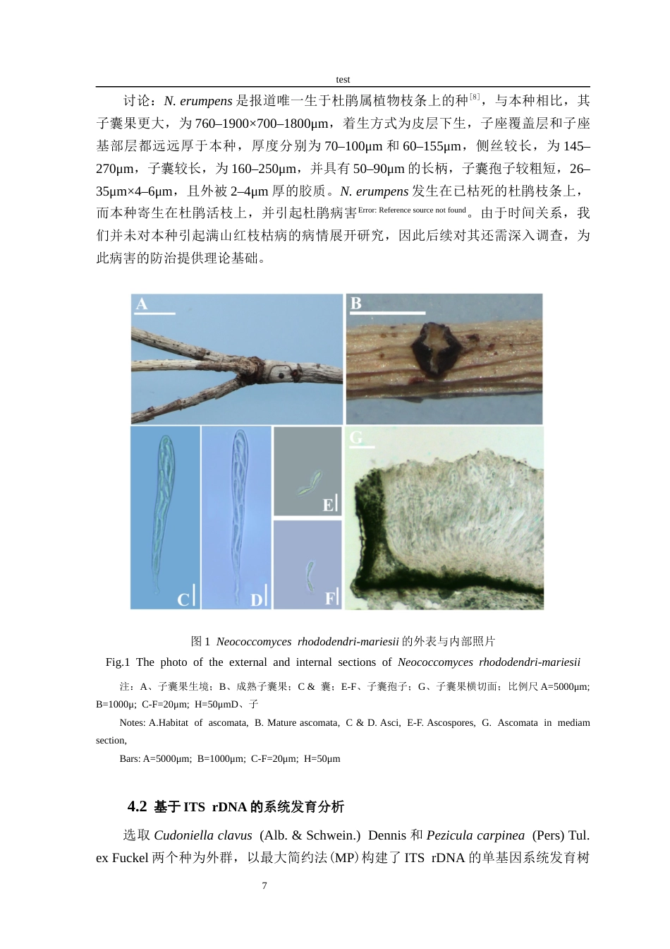 25年CH林学-一种满山红枝枯病病菌的鉴定分类研究-约9707字符终稿.docx_第10页