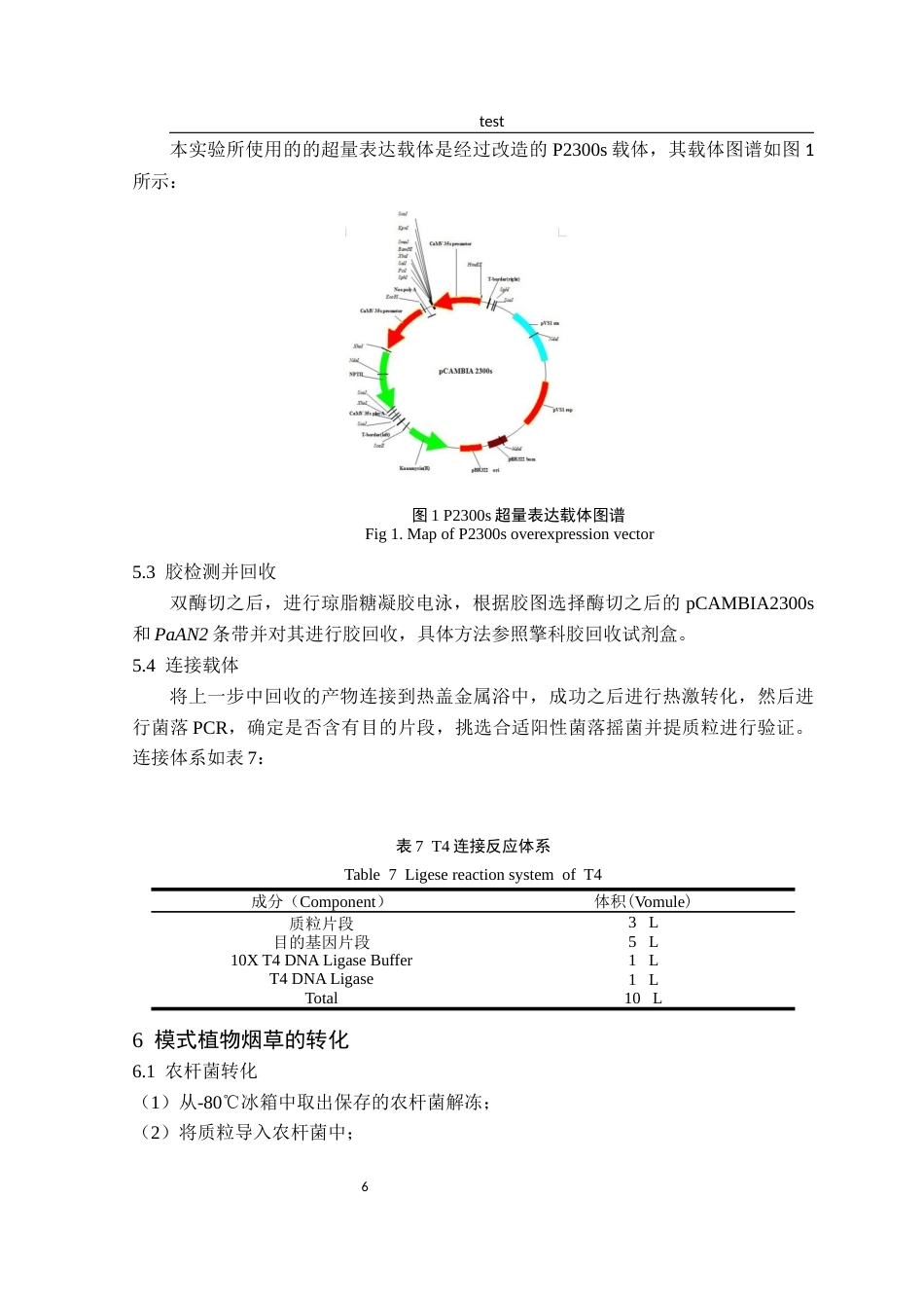 25年CH林学-二球悬铃木PaAN2的克隆及功能验证-约8813字符终稿.docx_第10页