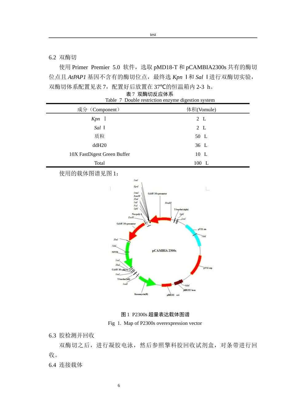 25年CH林学-拟南芥AtPAP1点突变对花青素积累的影响-约12143字符终稿.docx_第10页