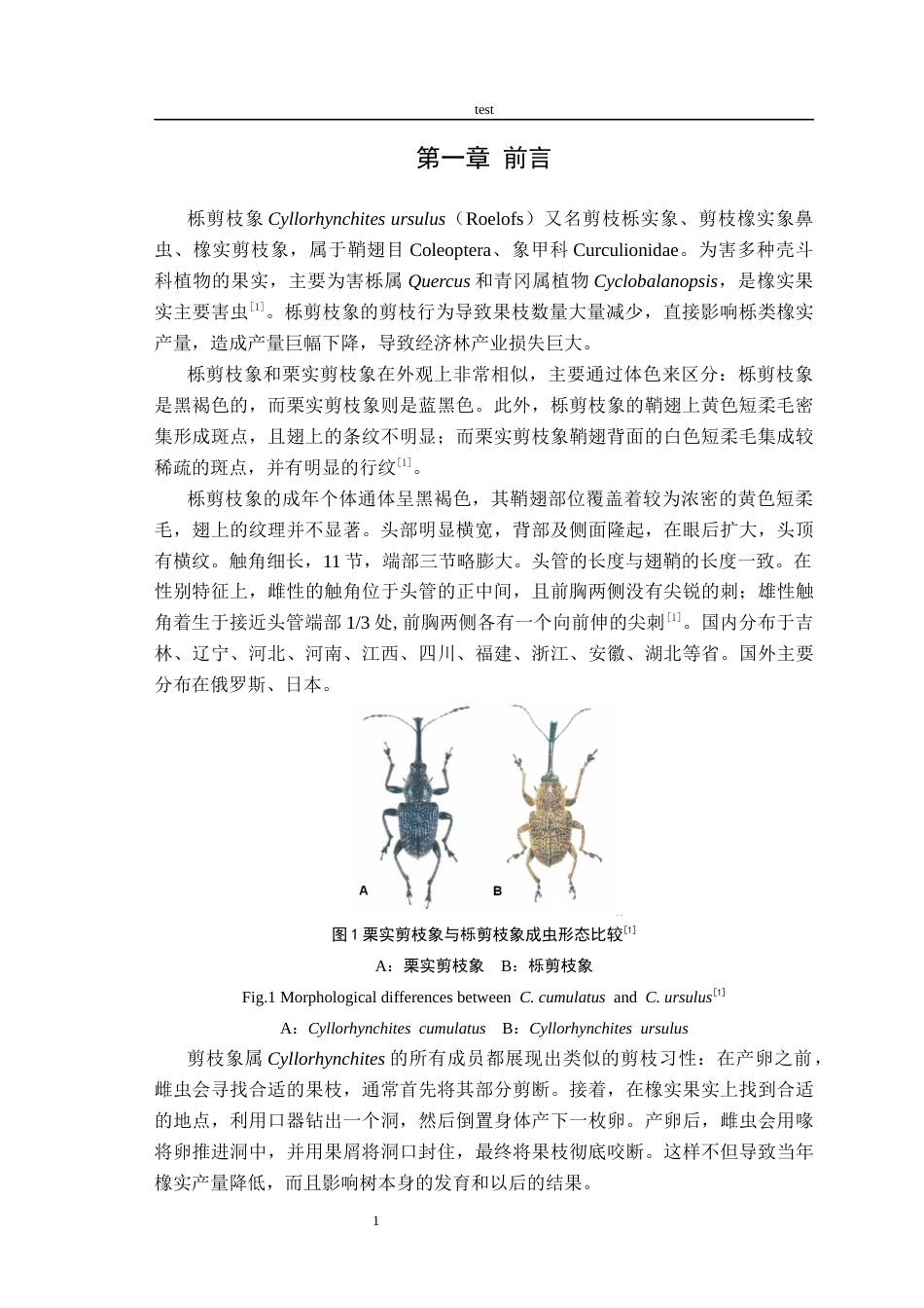 25年CH林学-栎剪枝象口器的超微结构-约10188字符终稿.docx_第4页