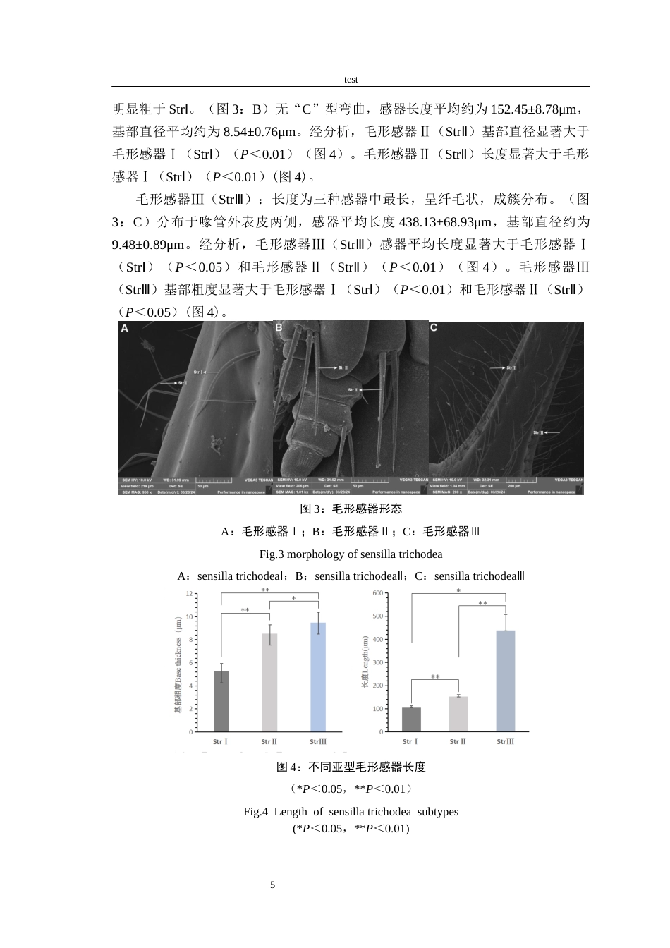 25年CH林学-栎剪枝象口器的超微结构-约10188字符终稿.docx_第8页