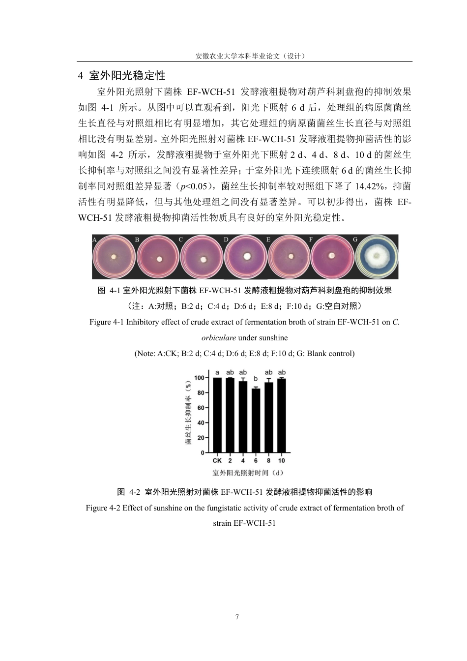 25年CH林学-内生菌EF-WCH-51抑菌活性物质稳定性研究-约11763字符终.pdf_第10页
