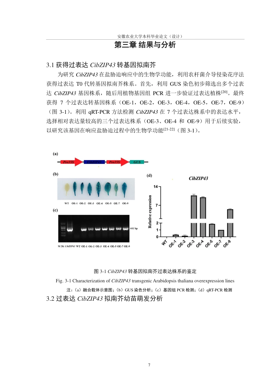 25年CH林学-薄壳山核桃CibZIP43基因的抗盐功能研究-约13454字符.pdf_第10页