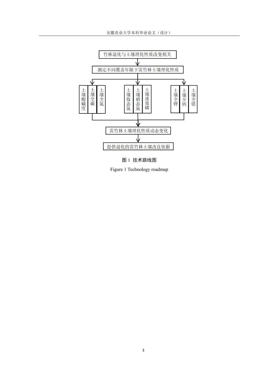 25年CH林学-覆盖年限对雷竹林土壤理化性质的影响-约11029字符.pdf_第7页