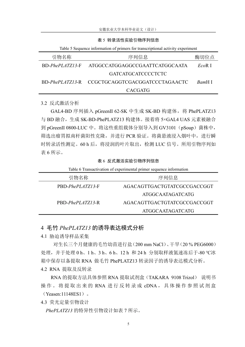25年CH林学-毛竹 PhePLATZ13 转录因子的克隆及特征分析-约11179字符.pdf_第8页