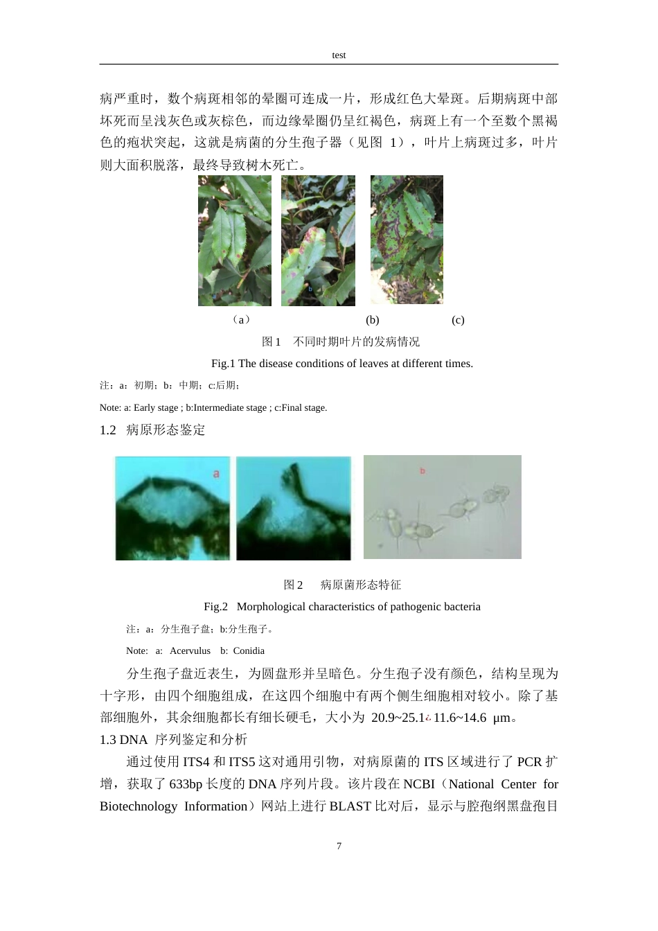 25年CH林学-一种石楠叶斑病病原生物学特性及对两种药剂的敏感性研究-约9803字符终版.docx_第9页