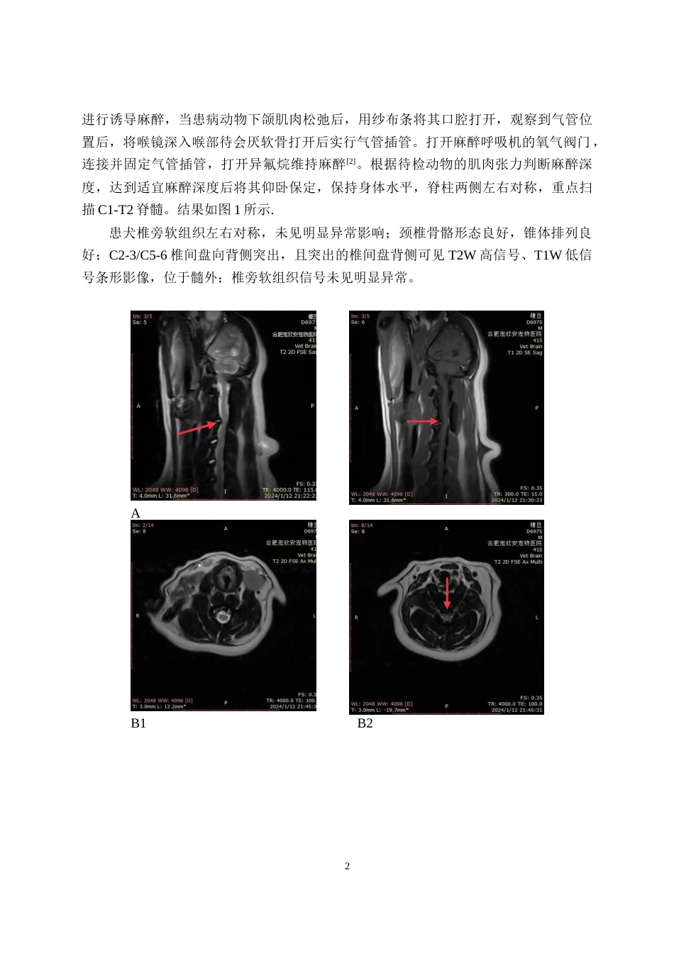 25年CH动物医学-一例犬椎间盘突出的手术治疗报告-约7139字符终版.docx_第4页