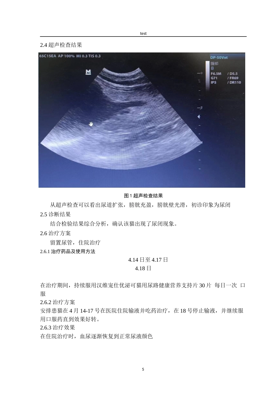 25年CH动物医学-一例猫尿道疾病的治疗与诊断-约7152字符终版.docx_第5页