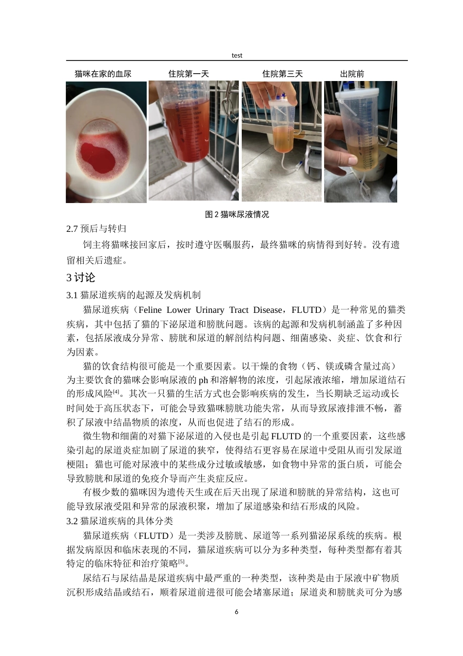 25年CH动物医学-一例猫尿道疾病的治疗与诊断-约7152字符终版.docx_第6页