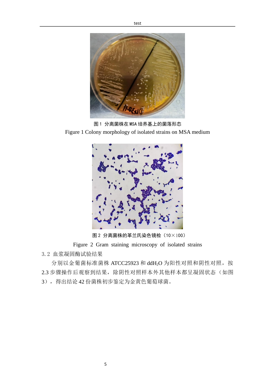 25年CH动物医学-鸡源金黄色葡萄球菌分离鉴定及耐药性分析-约9869字符终版.docx_第7页