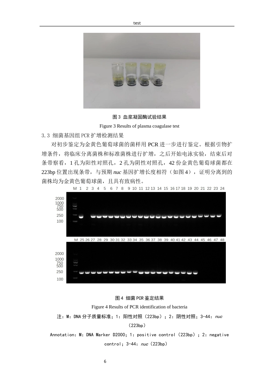 25年CH动物医学-鸡源金黄色葡萄球菌分离鉴定及耐药性分析-约9869字符终版.docx_第8页