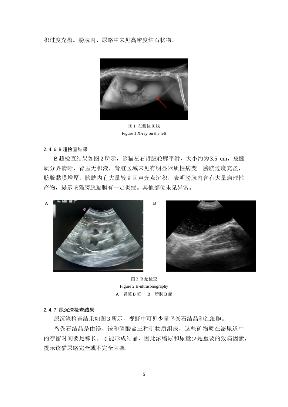 25年CH动物医学-一例猫自发性膀胱炎的诊疗报告-约6370字符终版.docx_第7页