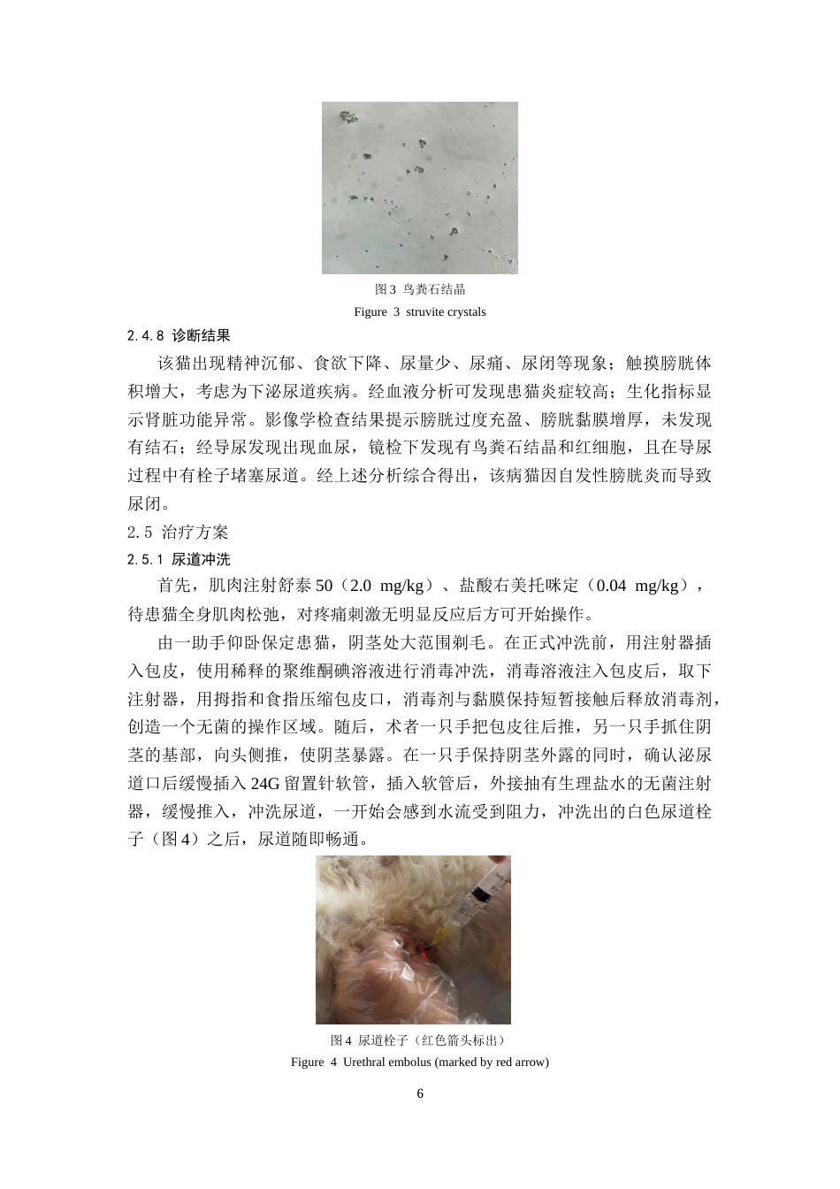 25年CH动物医学-一例猫自发性膀胱炎的诊疗报告-约6370字符终版.docx_第8页