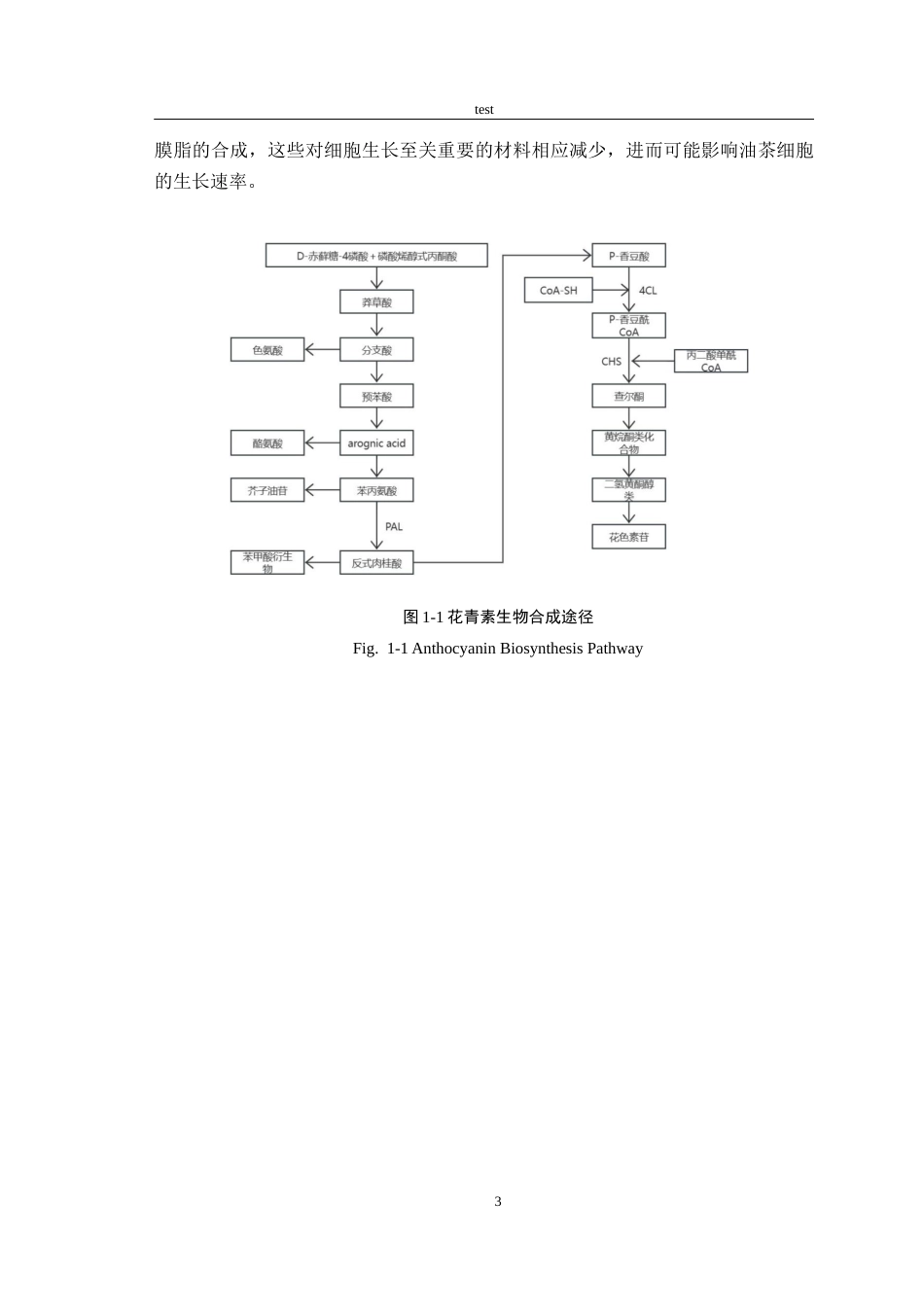 25年CH林学-转AtPAP2基因油茶次生胚的初期表型鉴定(1)-约9383字符终版.docx_第5页