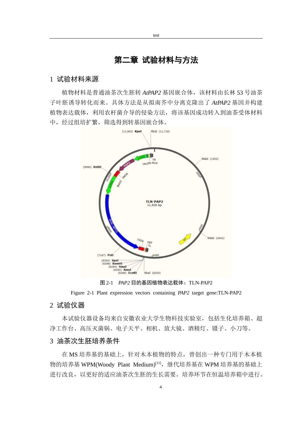 25年CH林学-转AtPAP2基因油茶次生胚的初期表型鉴定-约9383字符终版.docx_第6页