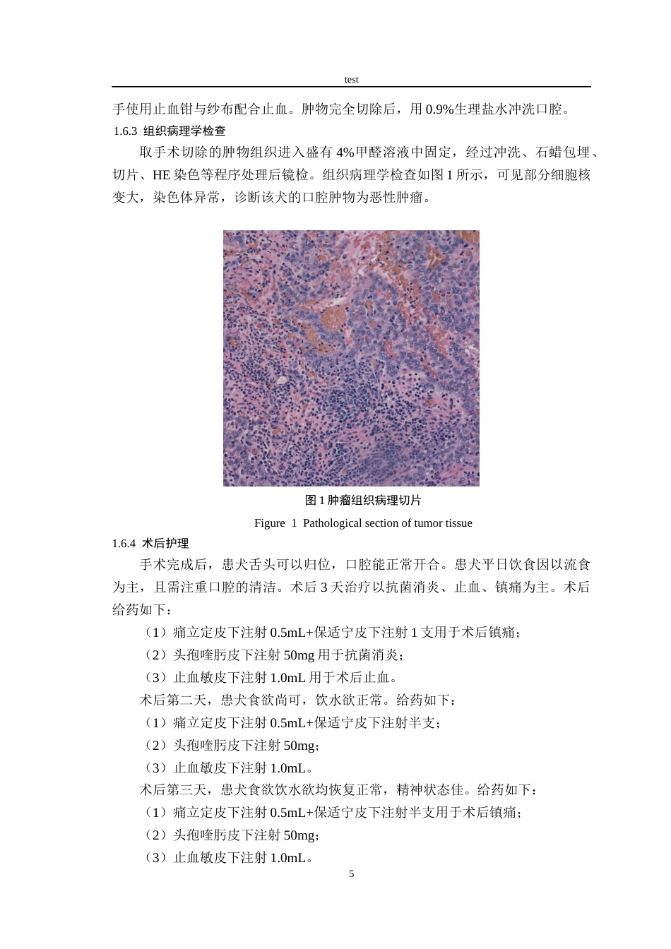 25年CH动物医学-一例犬口腔肿瘤的诊断与治疗-约5758字符终版.docx_第7页