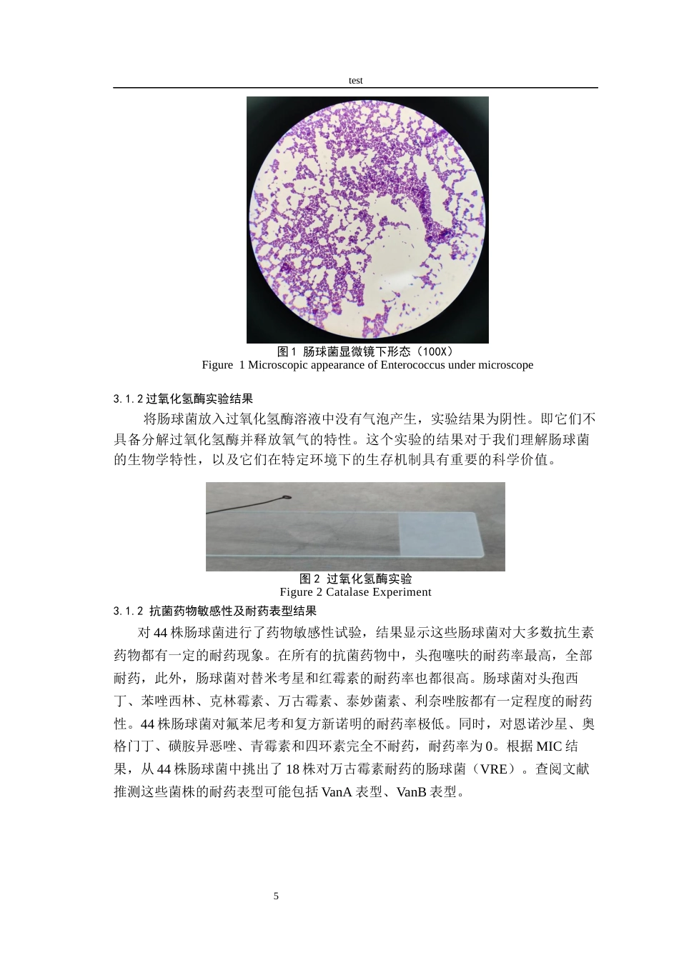 25年CH动物医学-万古霉素耐药肠球菌表型和基因型检测-约7543字符终版.docx_第7页