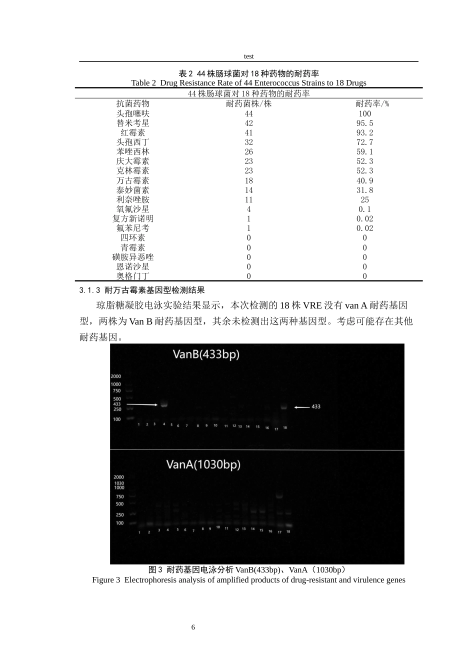 25年CH动物医学-万古霉素耐药肠球菌表型和基因型检测-约7543字符终版.docx_第8页