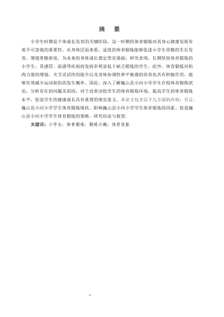 25年CH小学教育-乡村小学体育锻炼现状洞察与发展策略——以巍山县小河小学为例-约22669字符终版.docx