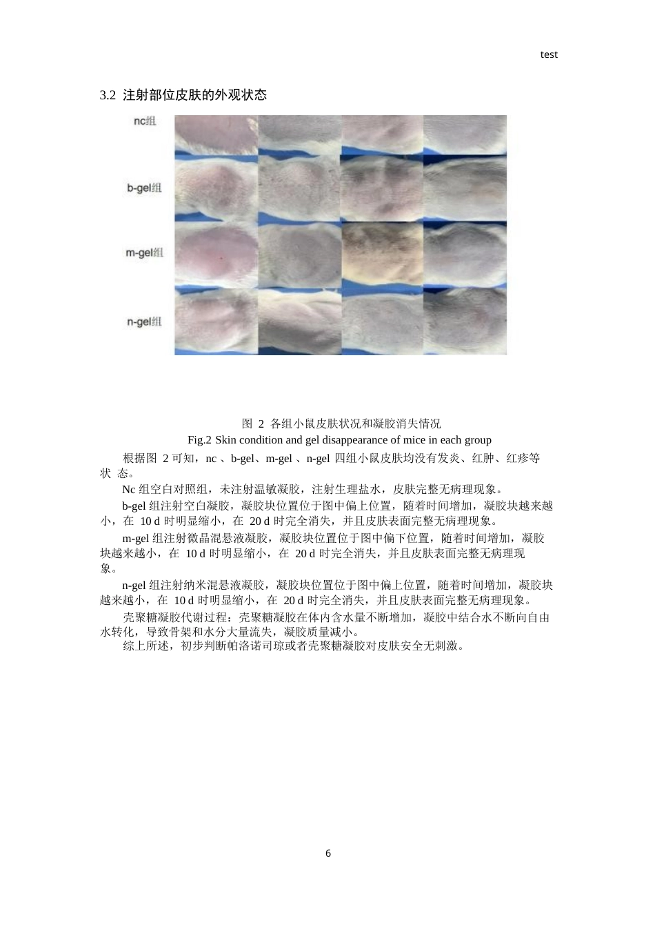 25年CH药学-帕洛诺司琼注射温敏凝胶安全性及药效的初步评价-约9278字符终版.docx_第6页