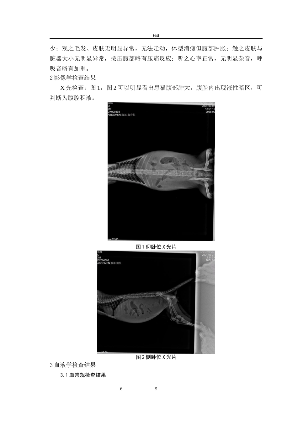 25年CH动物医学-猫传染性腹膜炎的诊断与治疗-约6695字符终版.docx_第6页