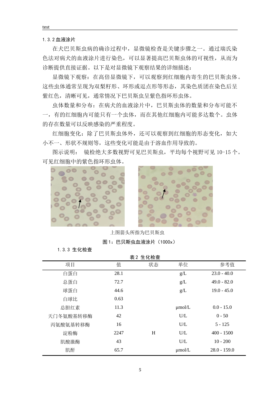 25年CH动物医学-一例犬巴贝斯虫的诊断与治疗-约7993字符终版.docx_第5页
