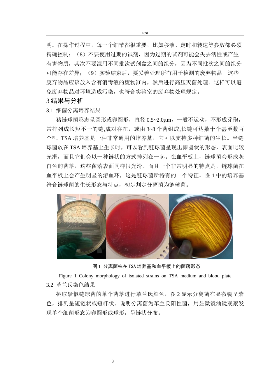 25年CH动物医学-一起长丰县猪蓝耳病与链球菌病混合感染病例分析-约8762字符终版.docx_第8页