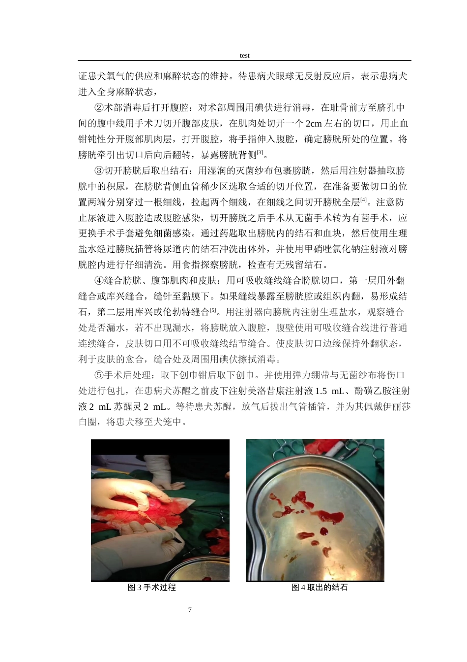 25年CH动物医学-一例犬膀胱结石的诊断与治疗-约7402字符终版.docx_第7页
