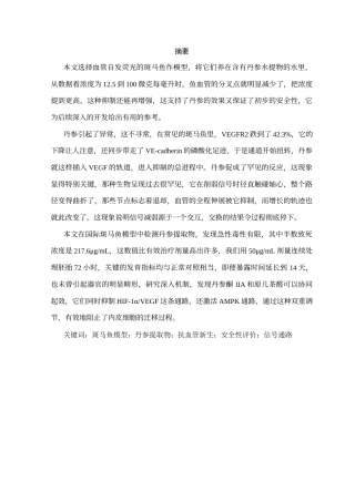 25年CH生物工程-基于斑马鱼模型的丹参抗血管新生与安全性研究-约9775字符.docx