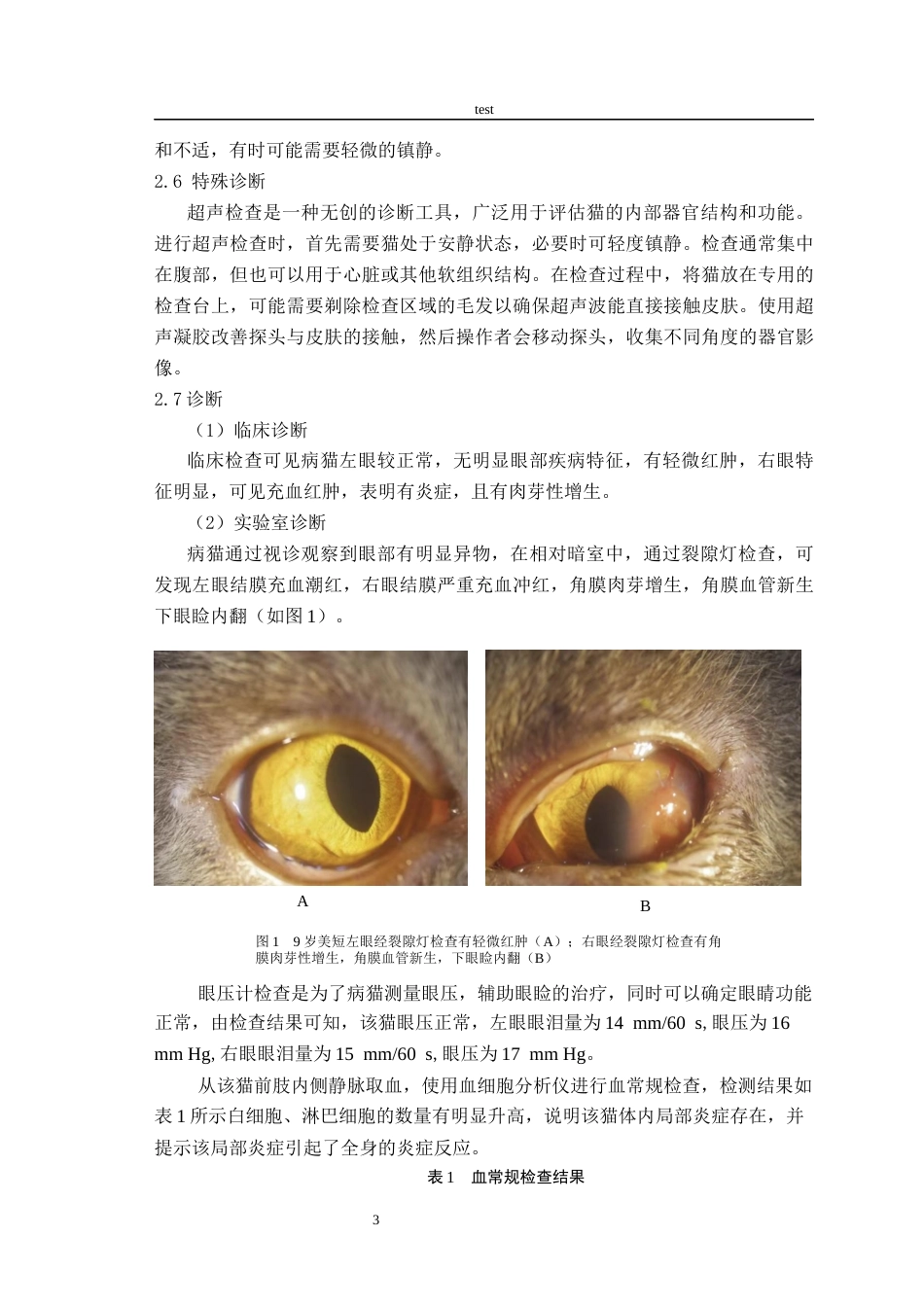 25年CH动物医学-一例猫眼睑内翻的诊断与治疗-约6831字符终版.docx_第5页