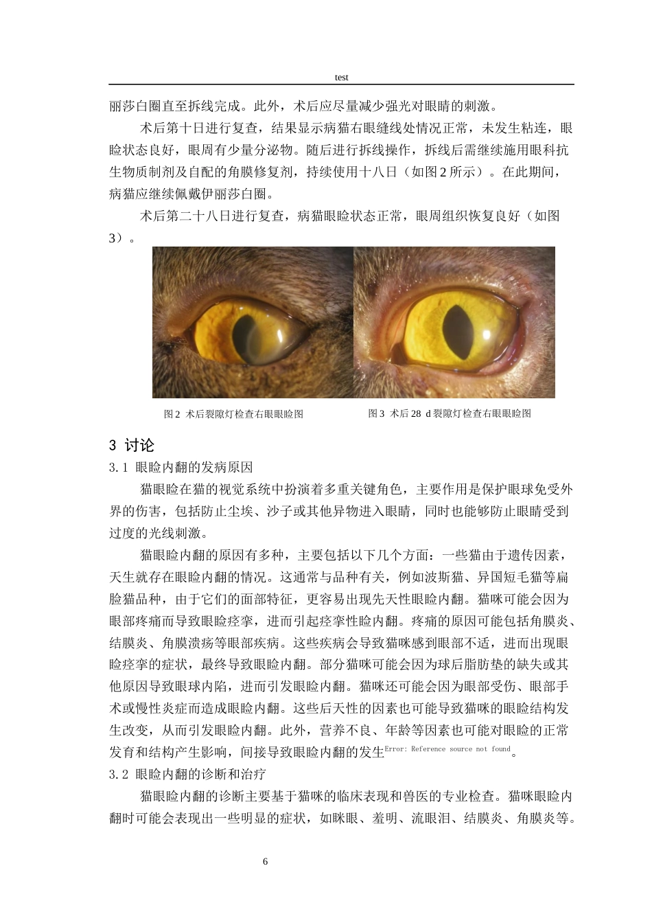 25年CH动物医学-一例猫眼睑内翻的诊断与治疗-约6831字符终版.docx_第8页
