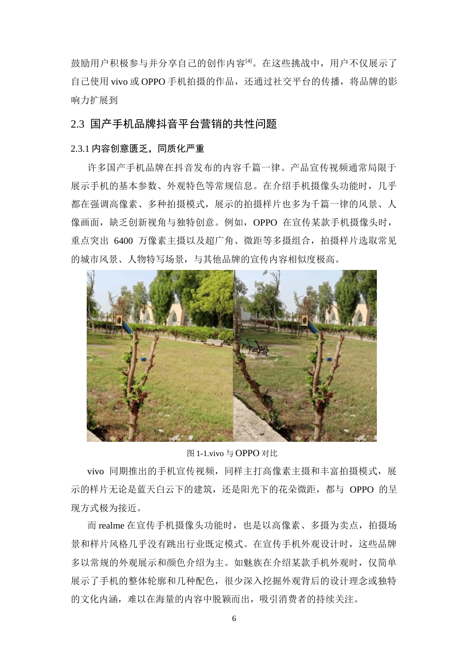 25年CH广告学-国产手机品牌抖音平台差异化营销策略探究——以华为和小米为例-约16570字符终稿.docx_第10页