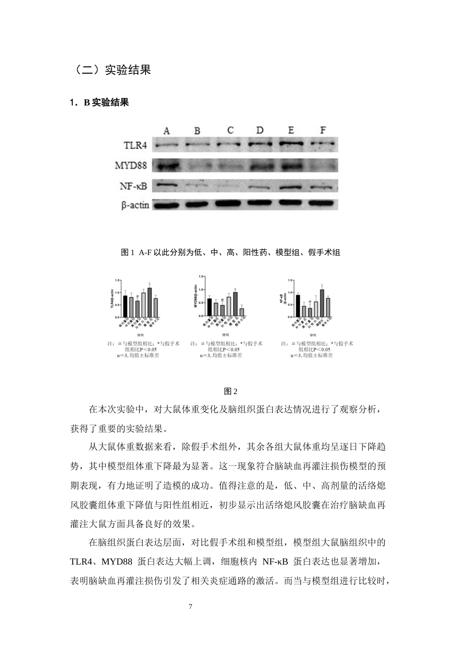 25年CH制药工程-基于NF-κB通路研究活络熄风胶囊治疗脑缺血再灌注的作用机制-约7397字符终稿.docx_第9页