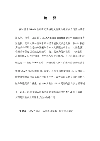 25年CH制药工程-基于NF-κB通路研究活络熄风胶囊治疗脑缺血再灌注的作用机制-约7397字符终稿.docx