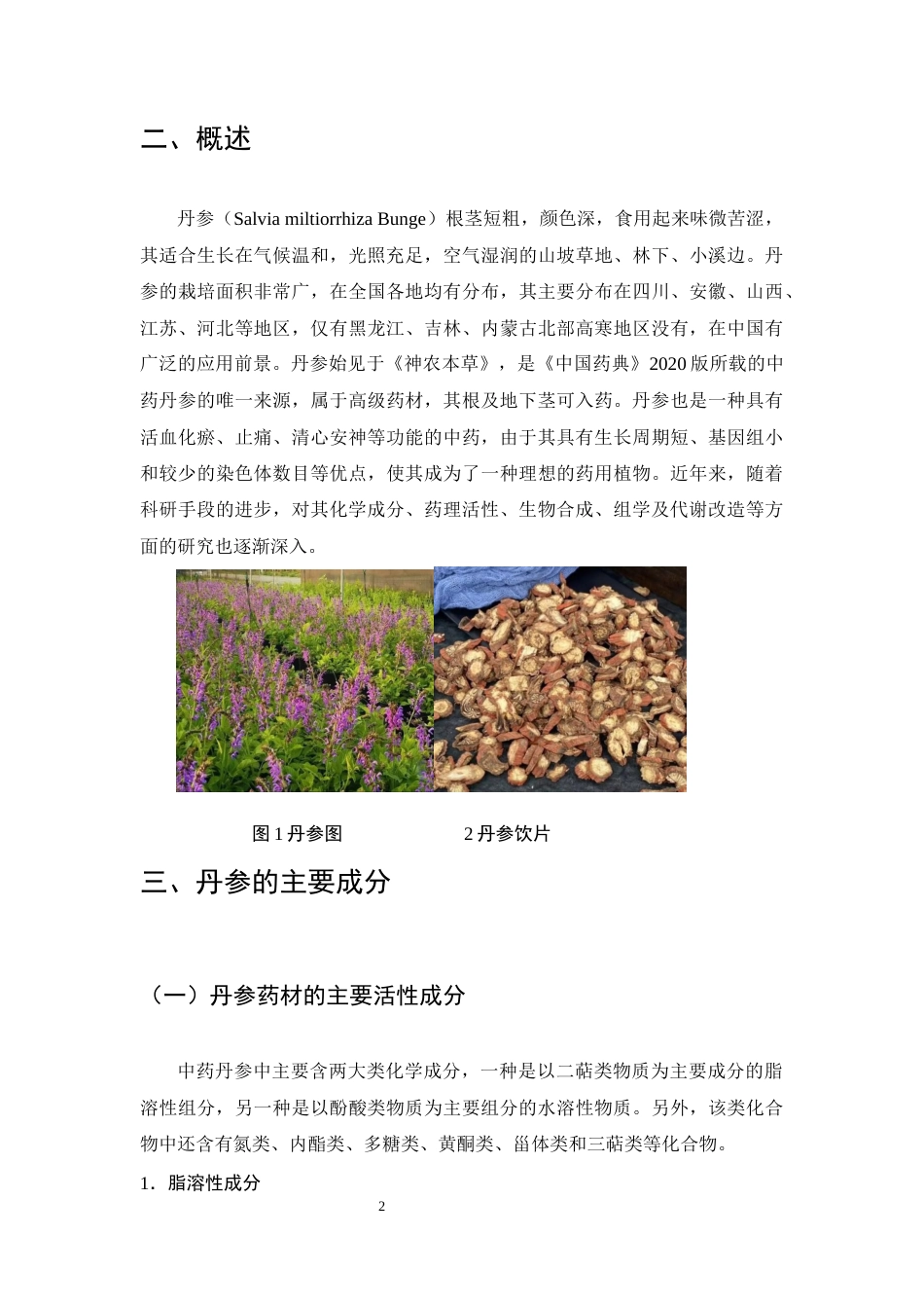25年CH制药工程专业-丹参药理作用及其质量标记物研究-约11726字符终稿.docx_第4页