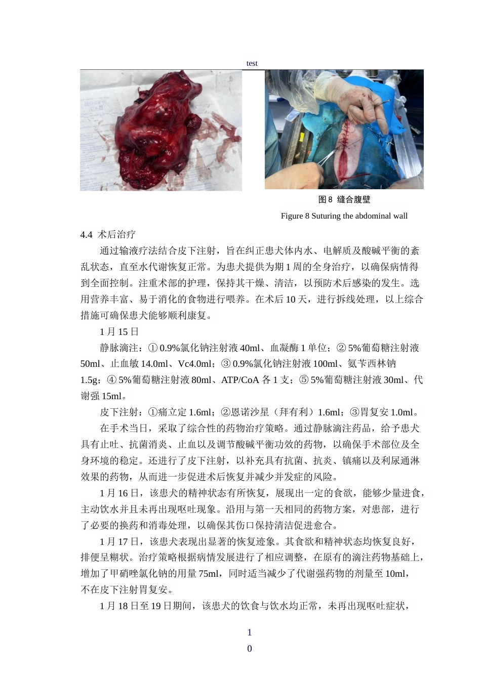 25年CH动物医学-一例犬肾脏肿瘤的诊疗报告-约9470字符终稿.docx_第10页