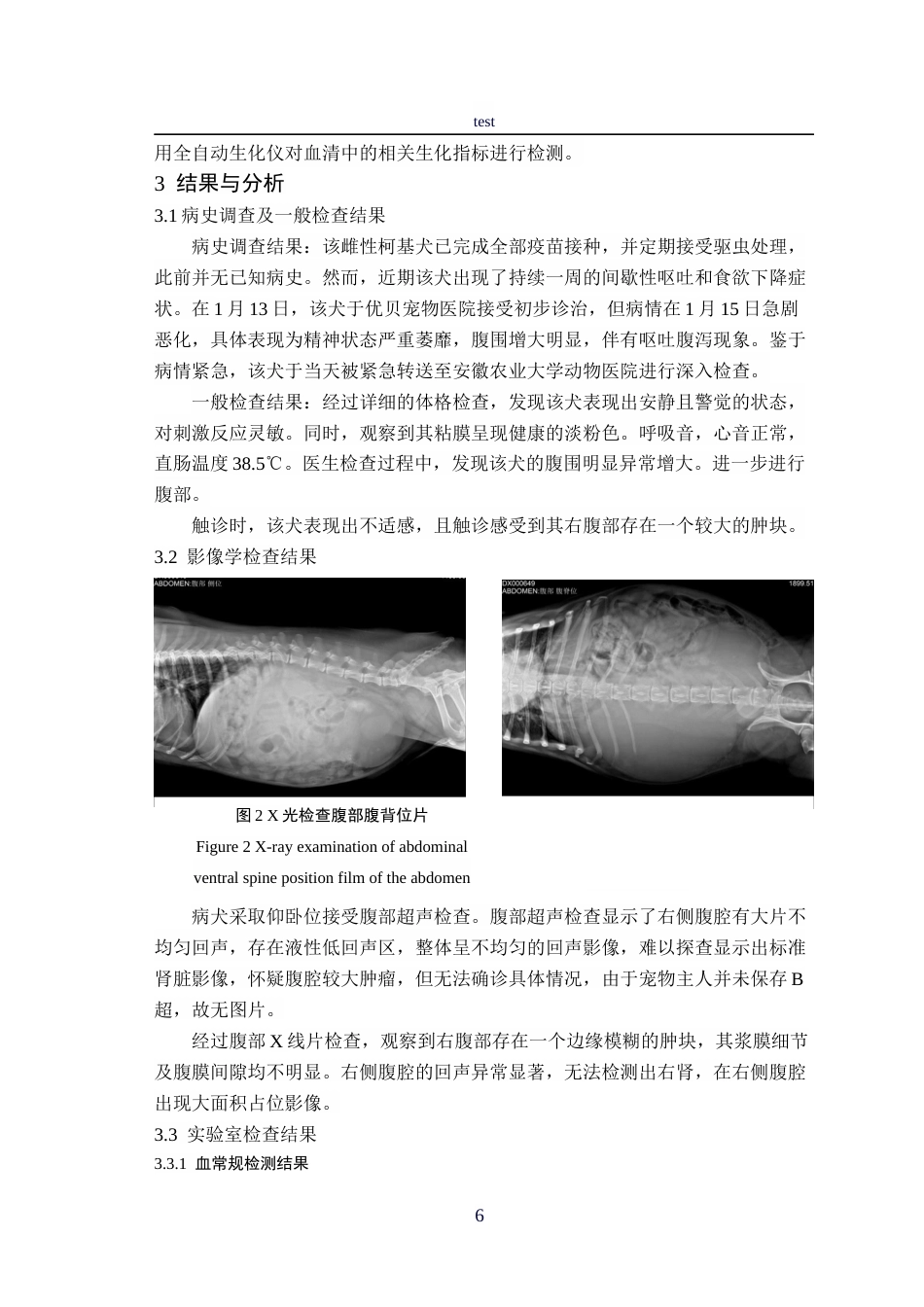 25年CH动物医学-一例犬肾脏肿瘤的诊疗报告-约9470字符终稿.docx_第6页
