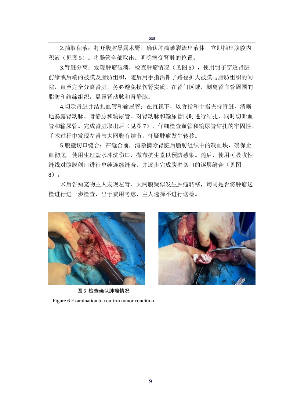 25年CH动物医学-一例犬肾脏肿瘤的诊疗报告-约9470字符终稿.docx_第9页